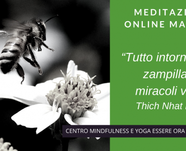Miracoli: un brano del maestro Thich Nhat Hanh per la sessione online del mattino
